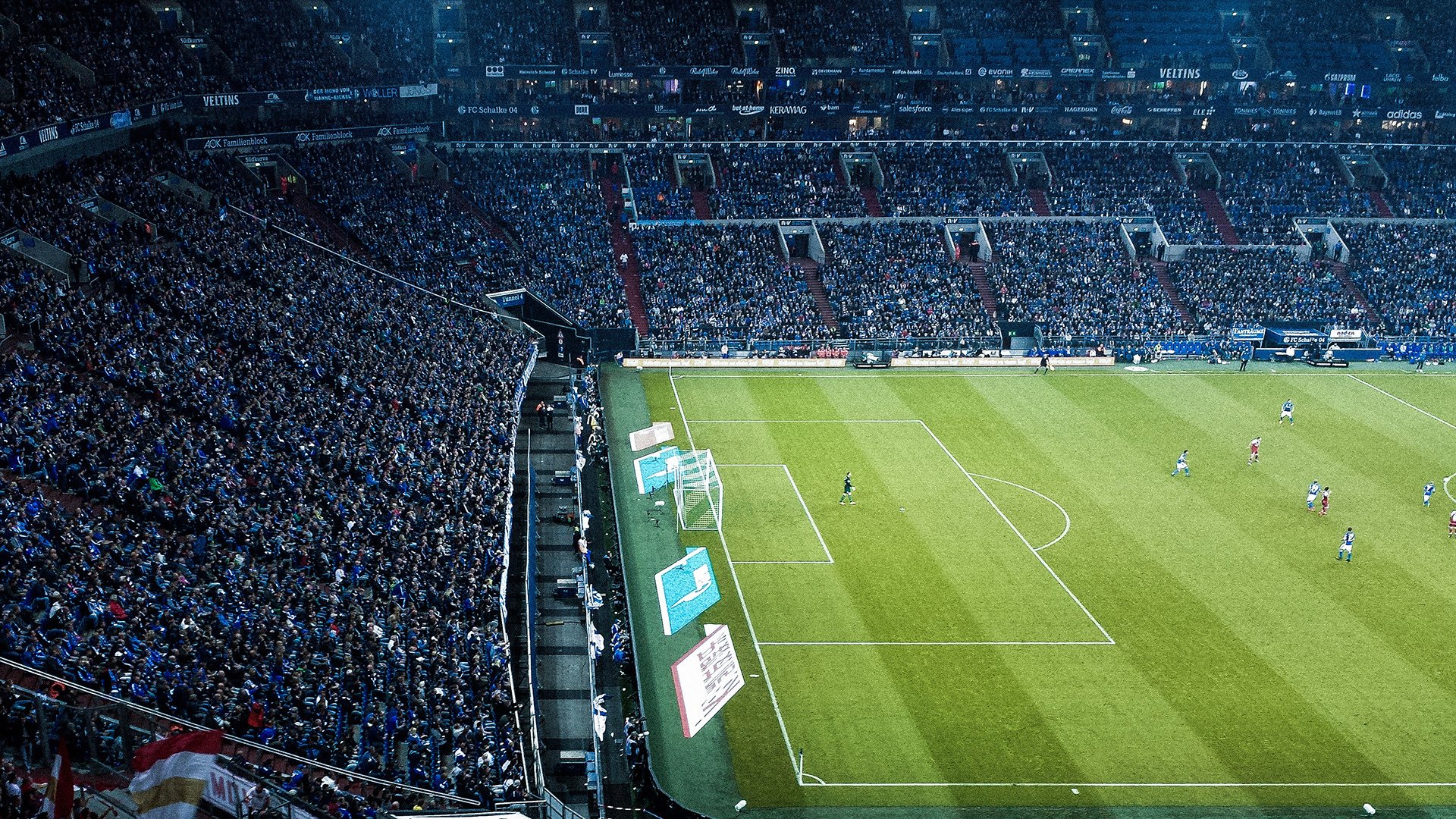 校园体育科技节品牌打造路径研究，请问学校科技或体育节的海报写一则简短的宣传语