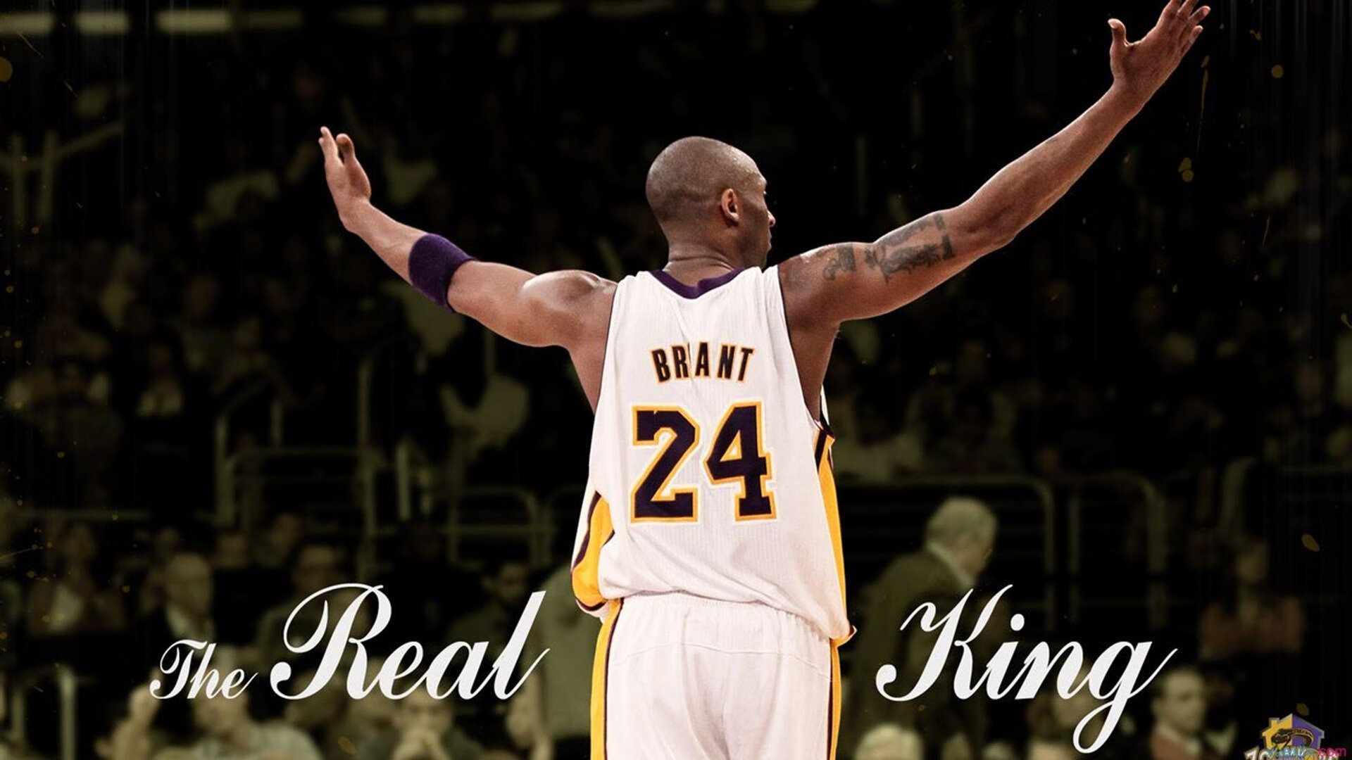 篮球运动技能动作科学分析及动作纠正训练研究，篮球运动前热身八个动作